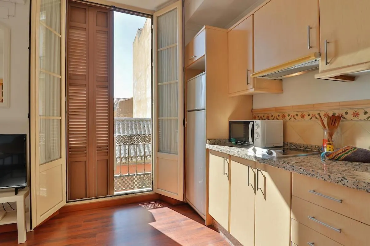 C61 - Brand New One Bedroom Cathedral Views 马拉加 公寓