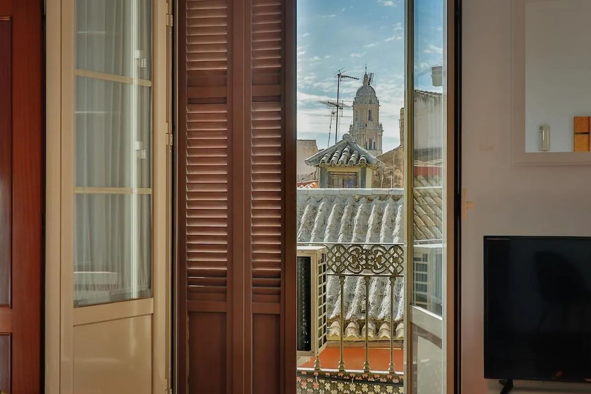 C61 - Brand New One Bedroom Cathedral Views Malaga